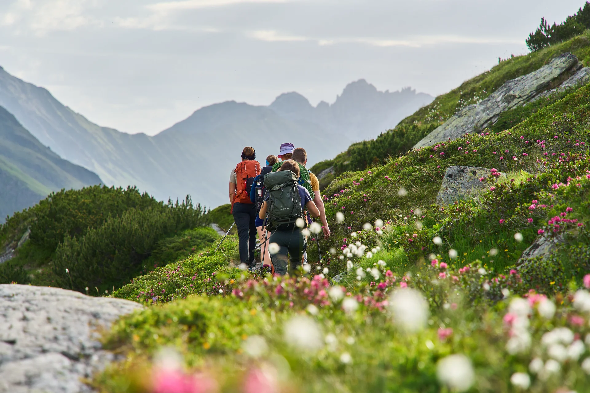 Wandergruppe auf Tour | © Dav Wuppertal / Stefan Strunk