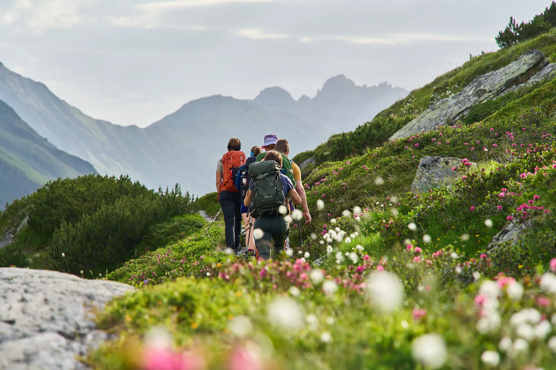 Wandergruppe auf Tour | © Dav Wuppertal / Stefan Strunk