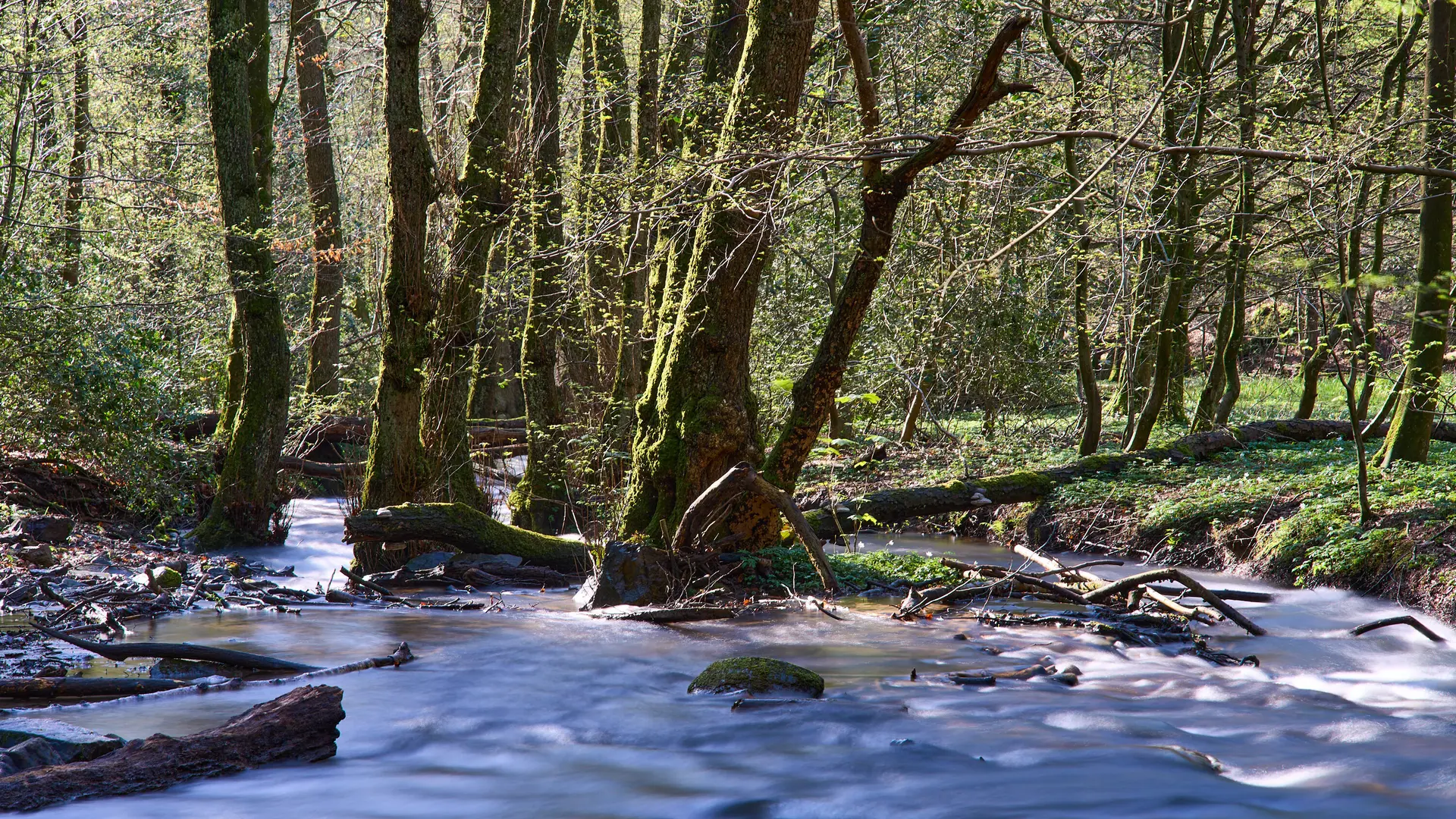 Wandergruppe - Raus und Wandern | © Dav Wuppertal / Stefan Strunk