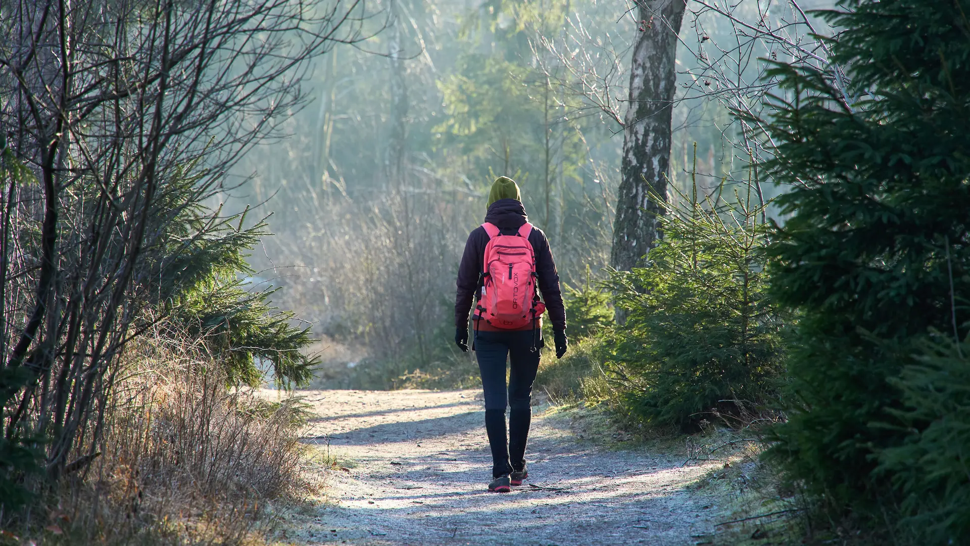 Wandern | © Dav Wuppertal / Stefan Strunk