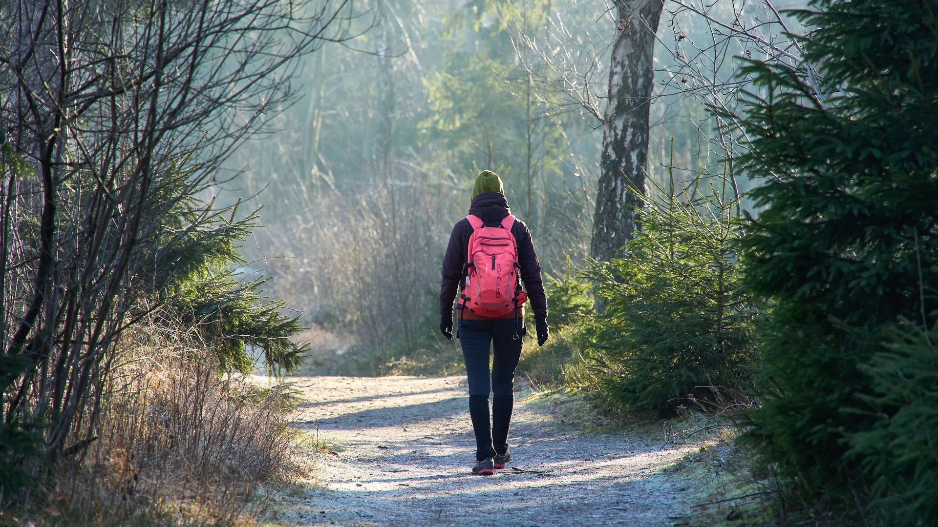 Wandern | © Dav Wuppertal / Stefan Strunk