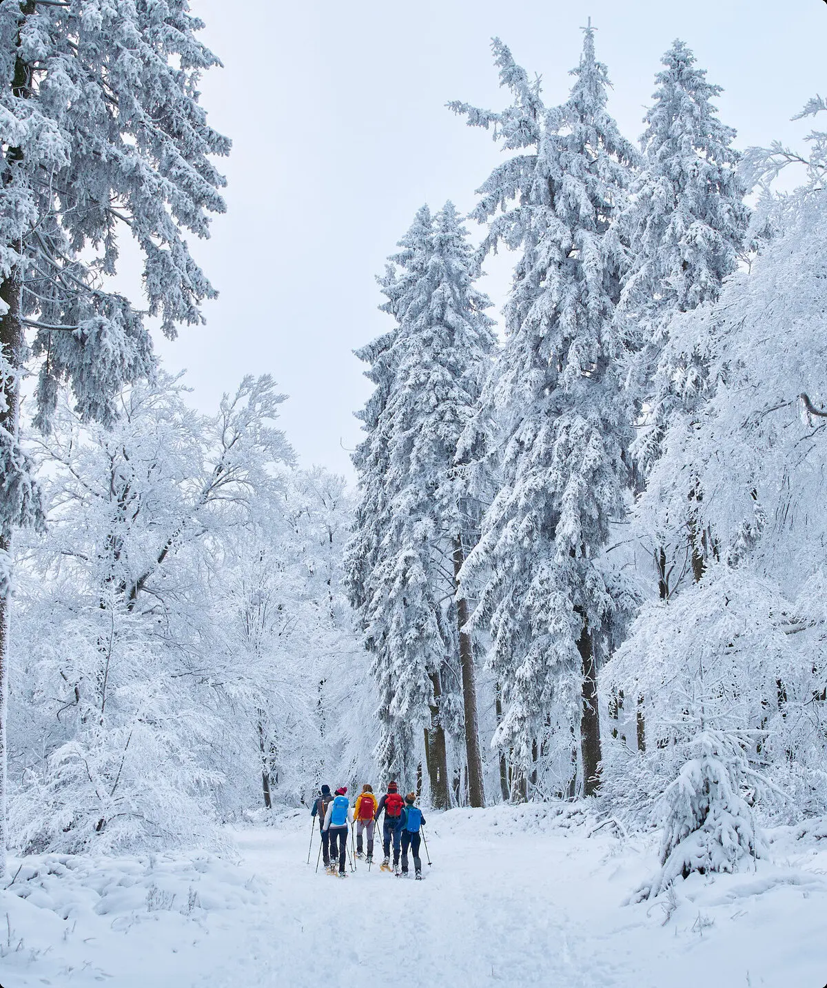 Schneeschuhwandern im Winter | © DAV Wuppertal / Stefan Strunk
