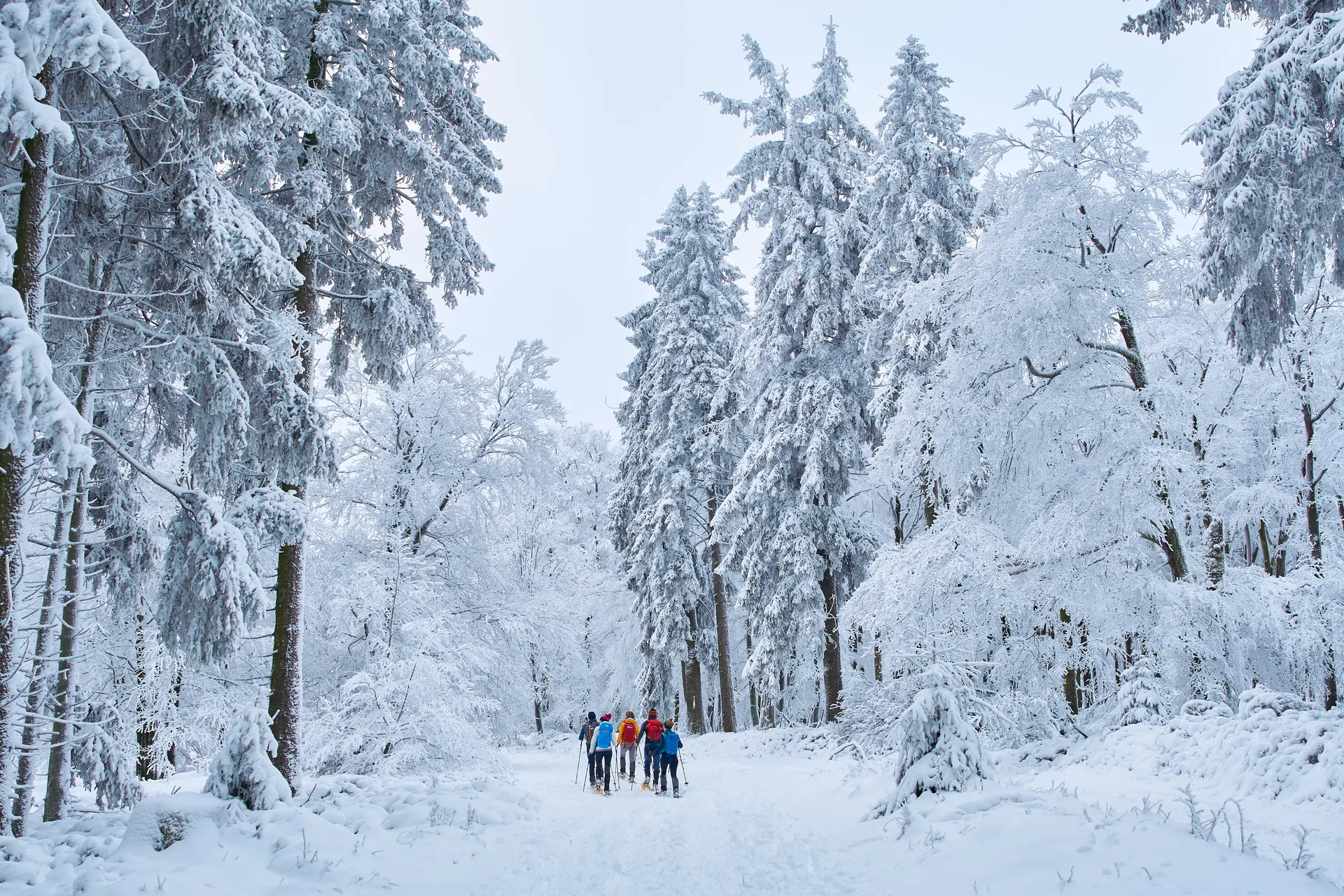 Schneeschuhwandern im Winter | © DAV Wuppertal / Stefan Strunk