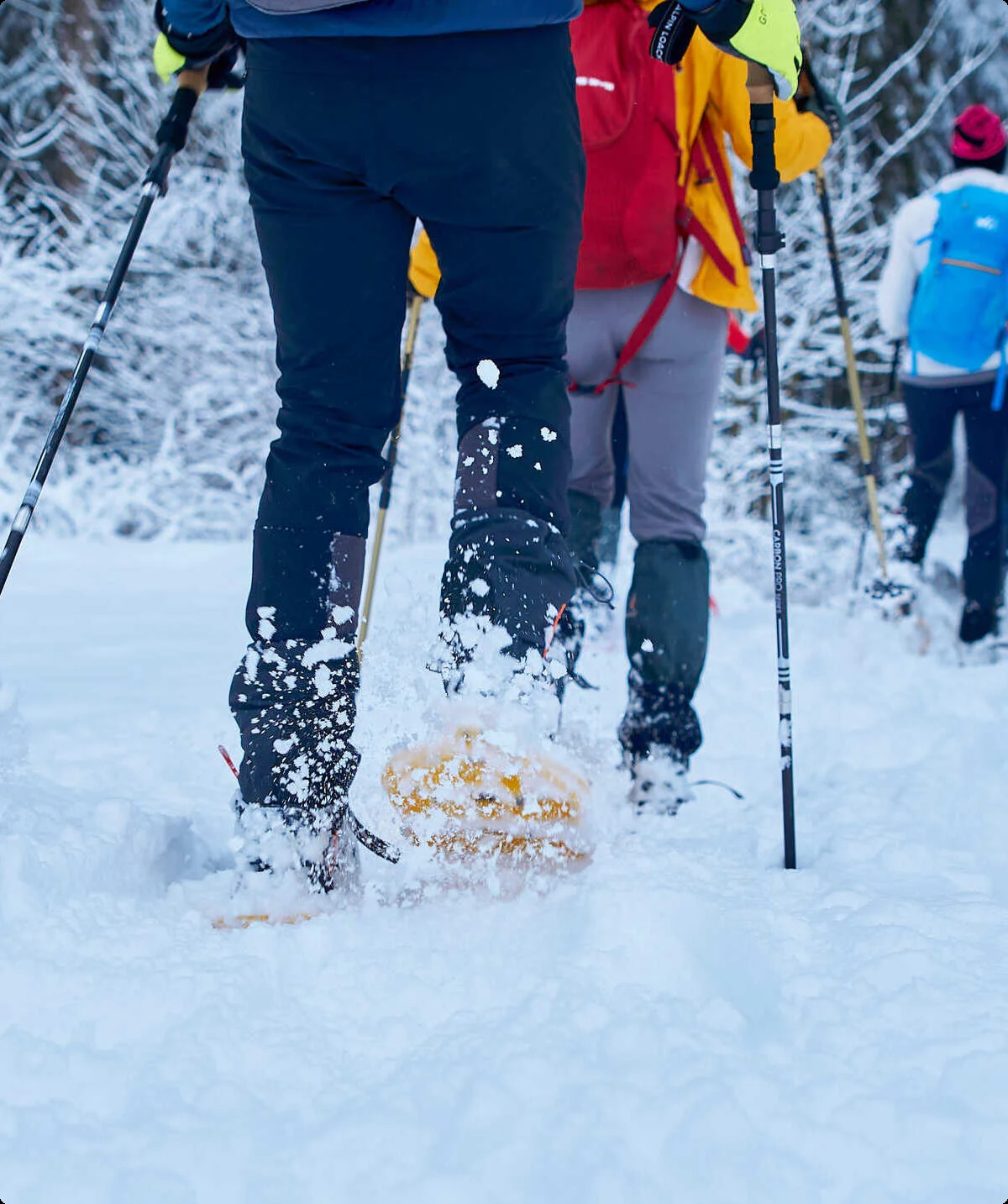 Schneeschuhwandern im Winter | © DAV Wuppertal / Stefan Strunk