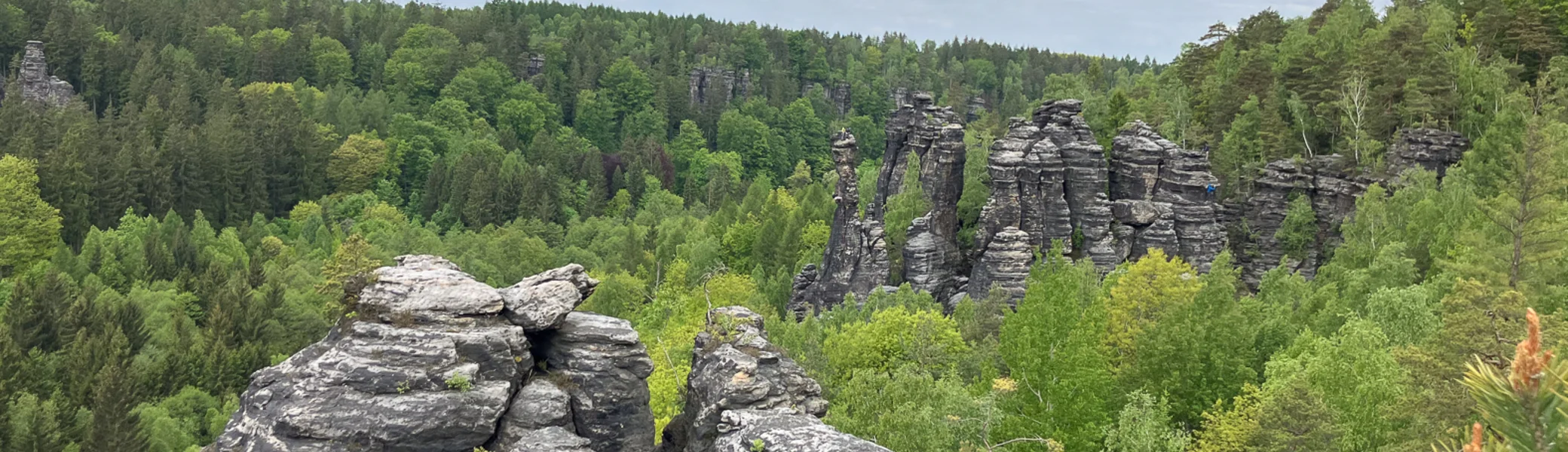 Trainer Fortbildung Elbsandsteingebirge | © DAV Wuppertal
