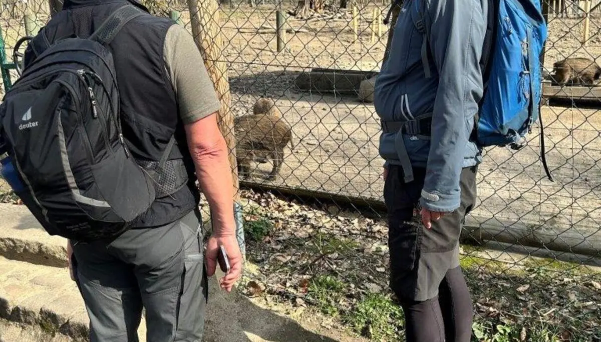 Immer weiter auf dem Baldeneysteig | © Johannes Rohleder