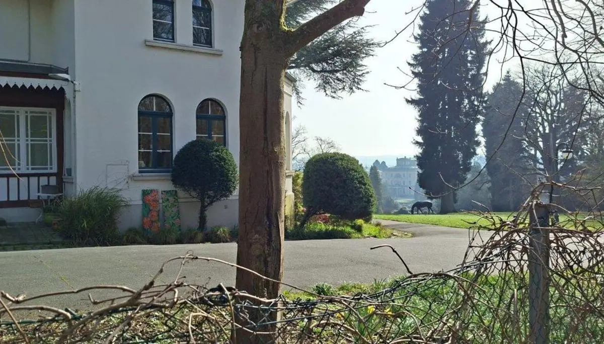 Immer weiter auf dem Baldeneysteig | © Johannes Rohleder