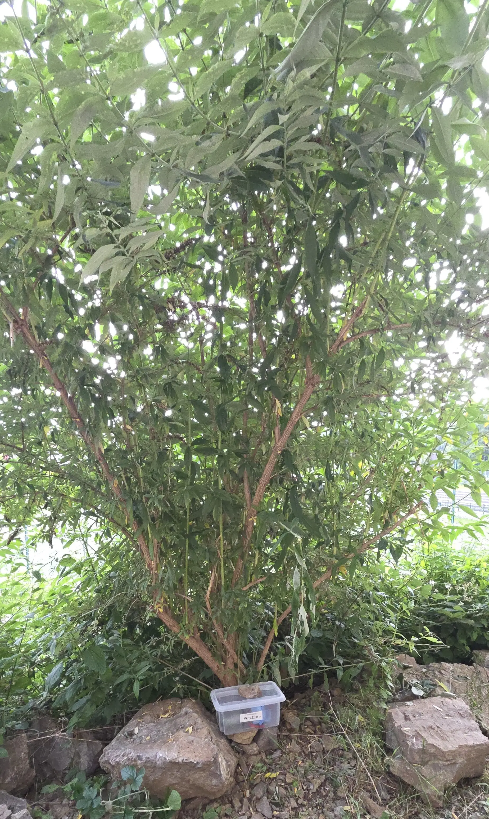 © Manuela Schmidt