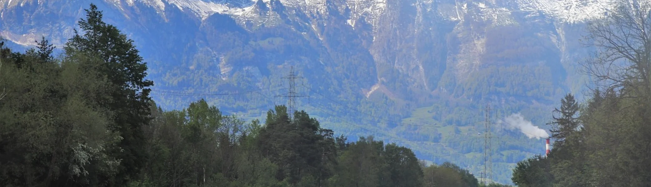 Moobly  | © Julita/Pixabay