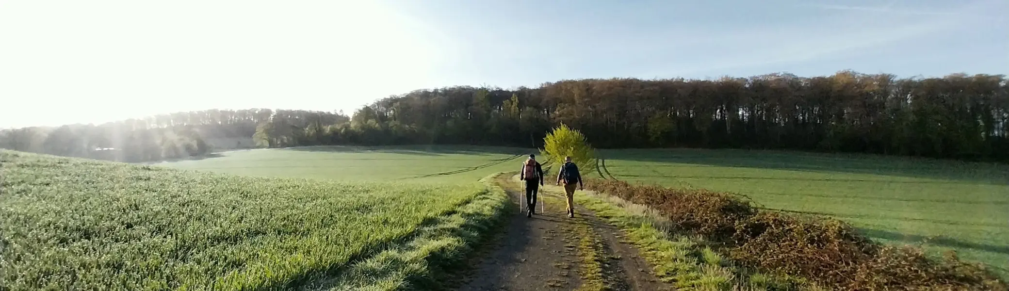 Immer weiter - rund um Langenberg | © Frank Gleitsmann