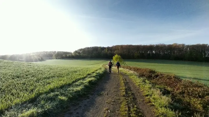 Immer weiter - rund um Langenberg | © Frank Gleitsmann