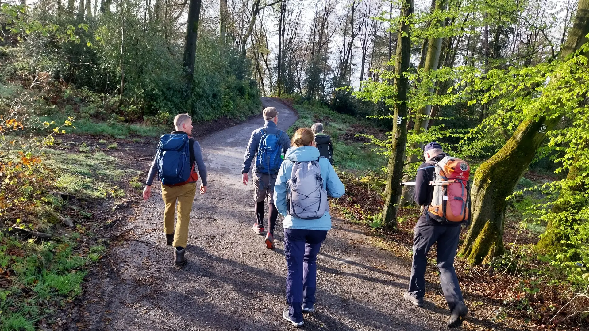 Immer weiter - rund um Langenberg | © Frank Gleitsmann