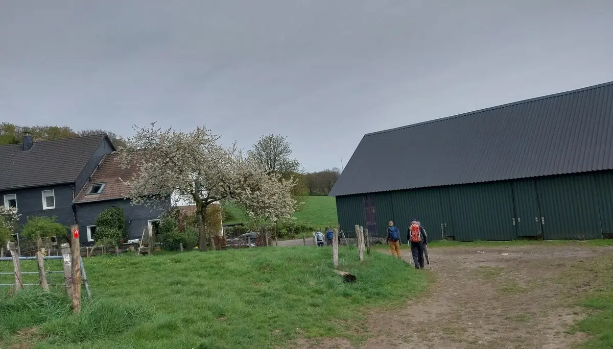 Immer weiter - rund um Langenberg | © Frank Gleitsmann