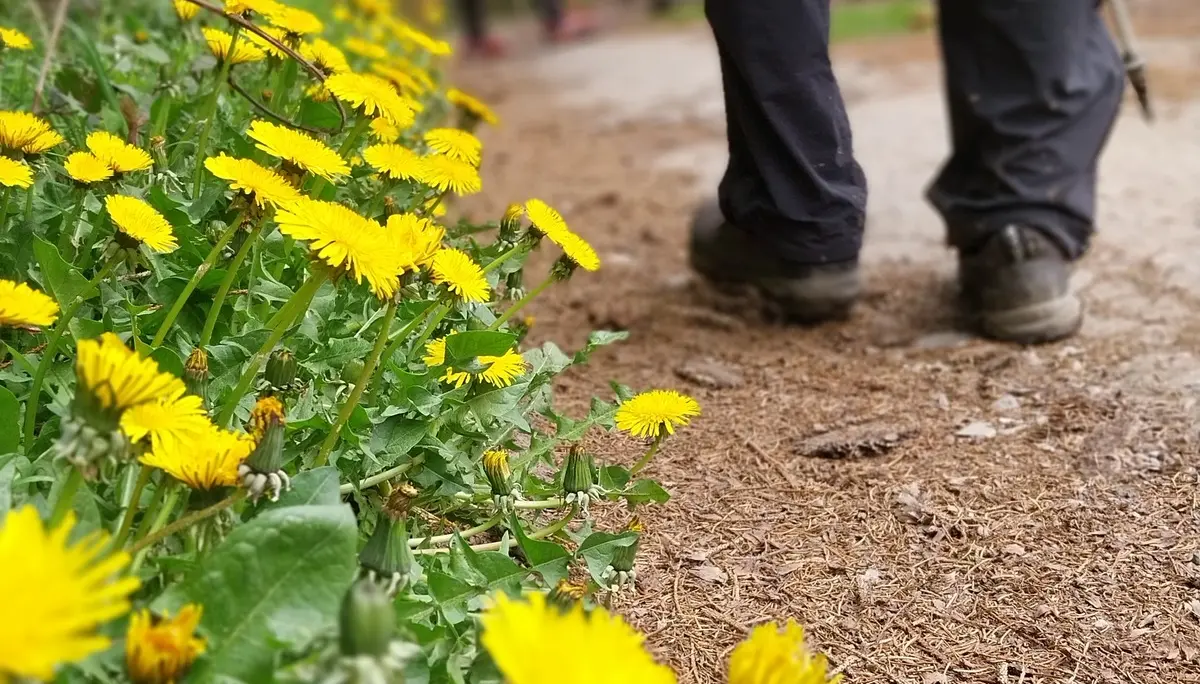 Immer weiter - rund um Langenberg | © Frank Gleitsmann
