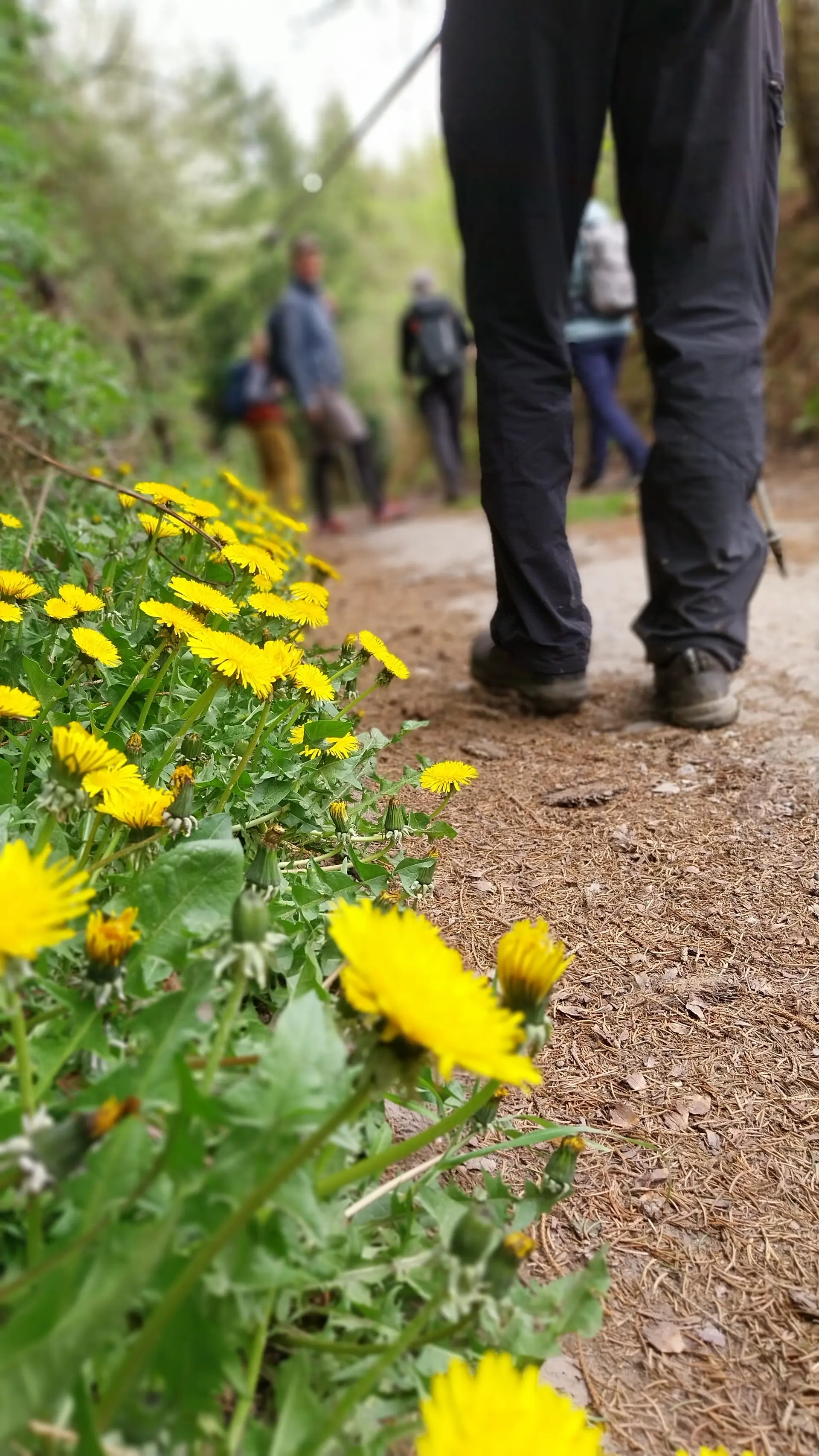 Immer weiter - rund um Langenberg | © Frank Gleitsmann