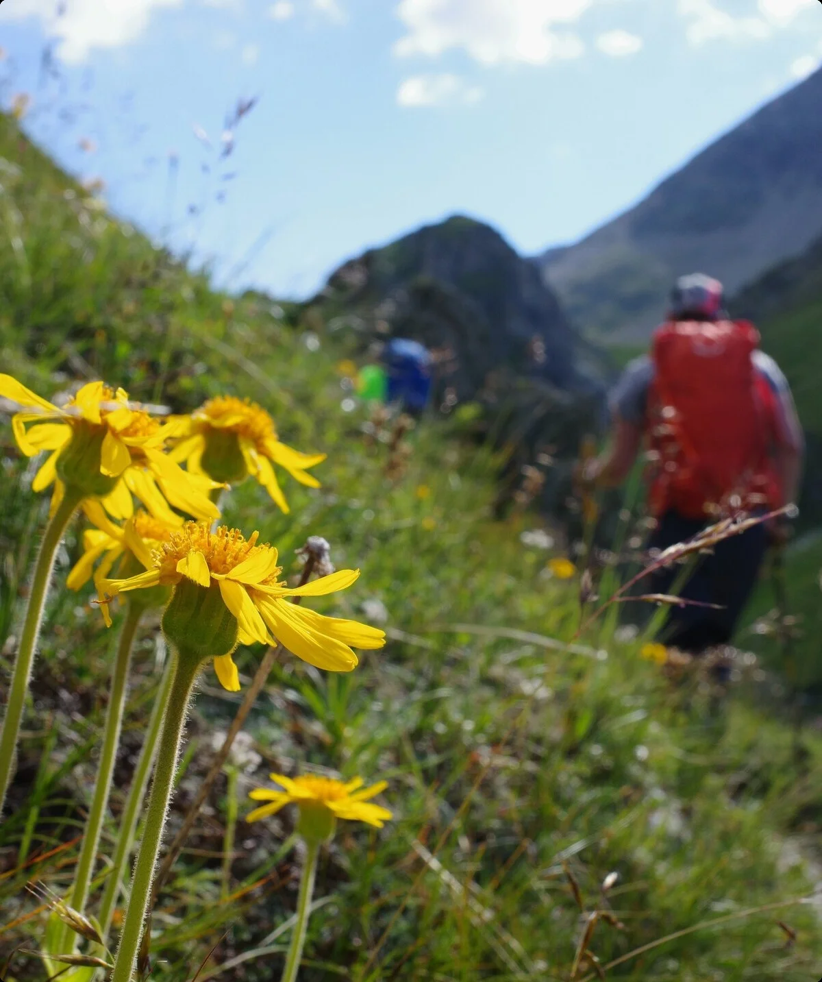 © Lena Kremzow-Tennie/DAV Wuppertal