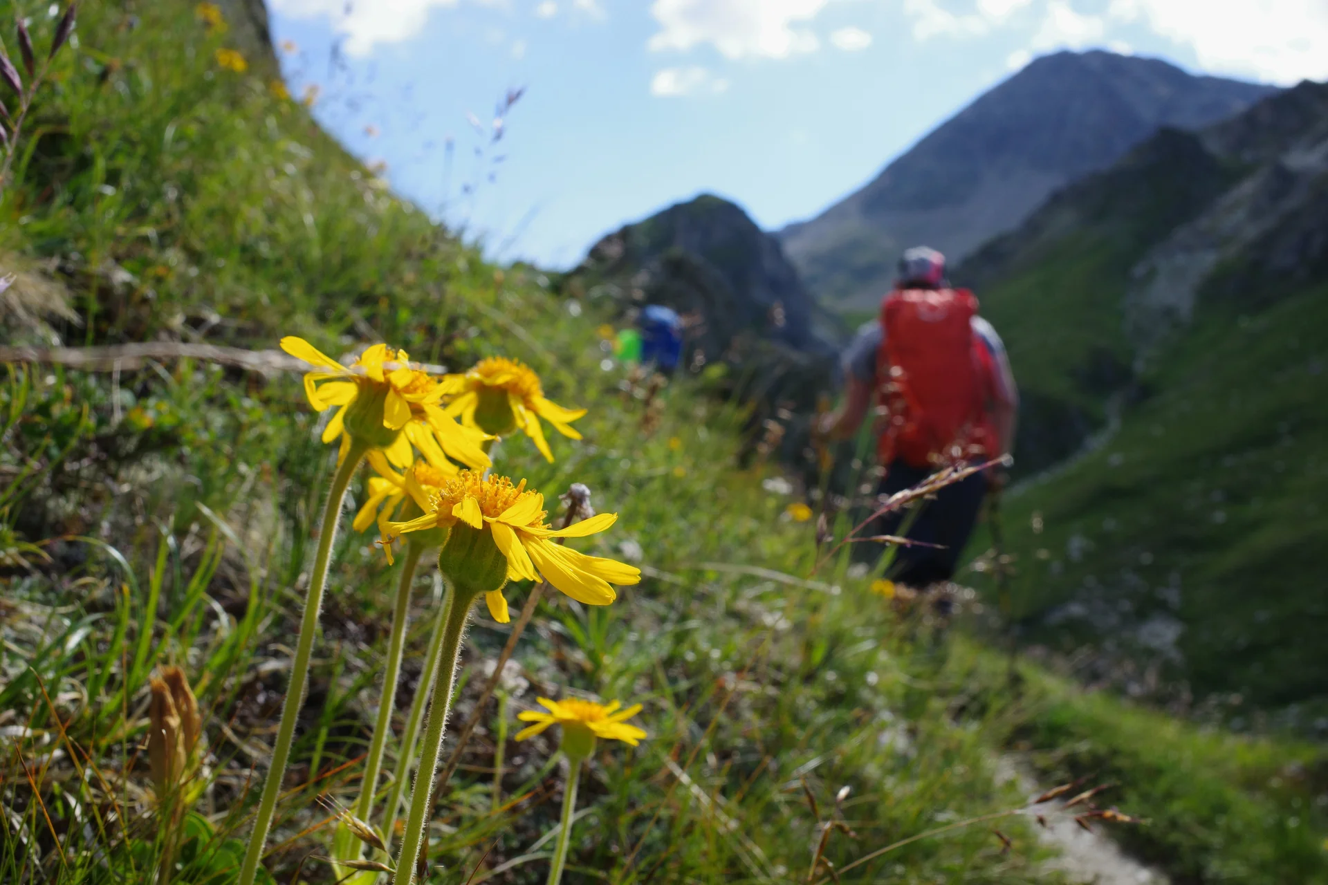 © Lena Kremzow-Tennie/DAV Wuppertal