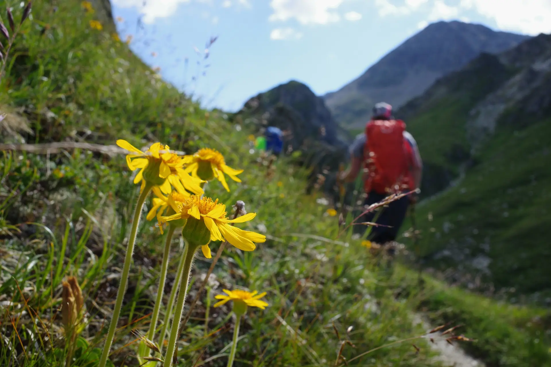 © Lena Kremzow-Tennie/DAV Wuppertal