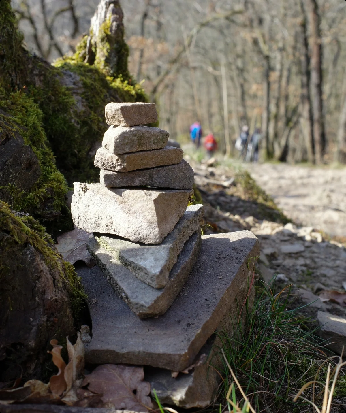 © Lena Kremzow-Tennie/DAV Wuppertal