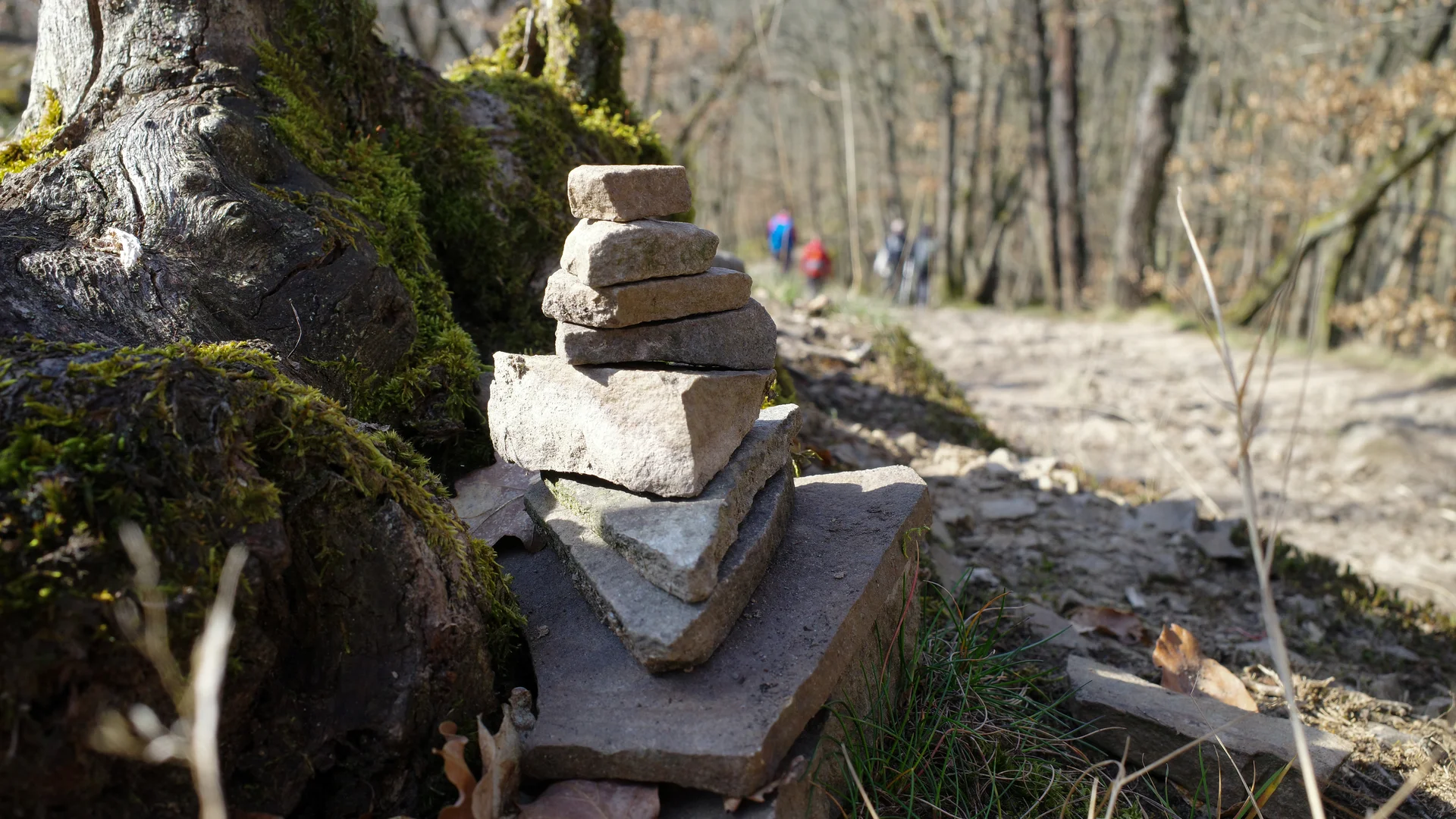 © Lena Kremzow-Tennie/DAV Wuppertal