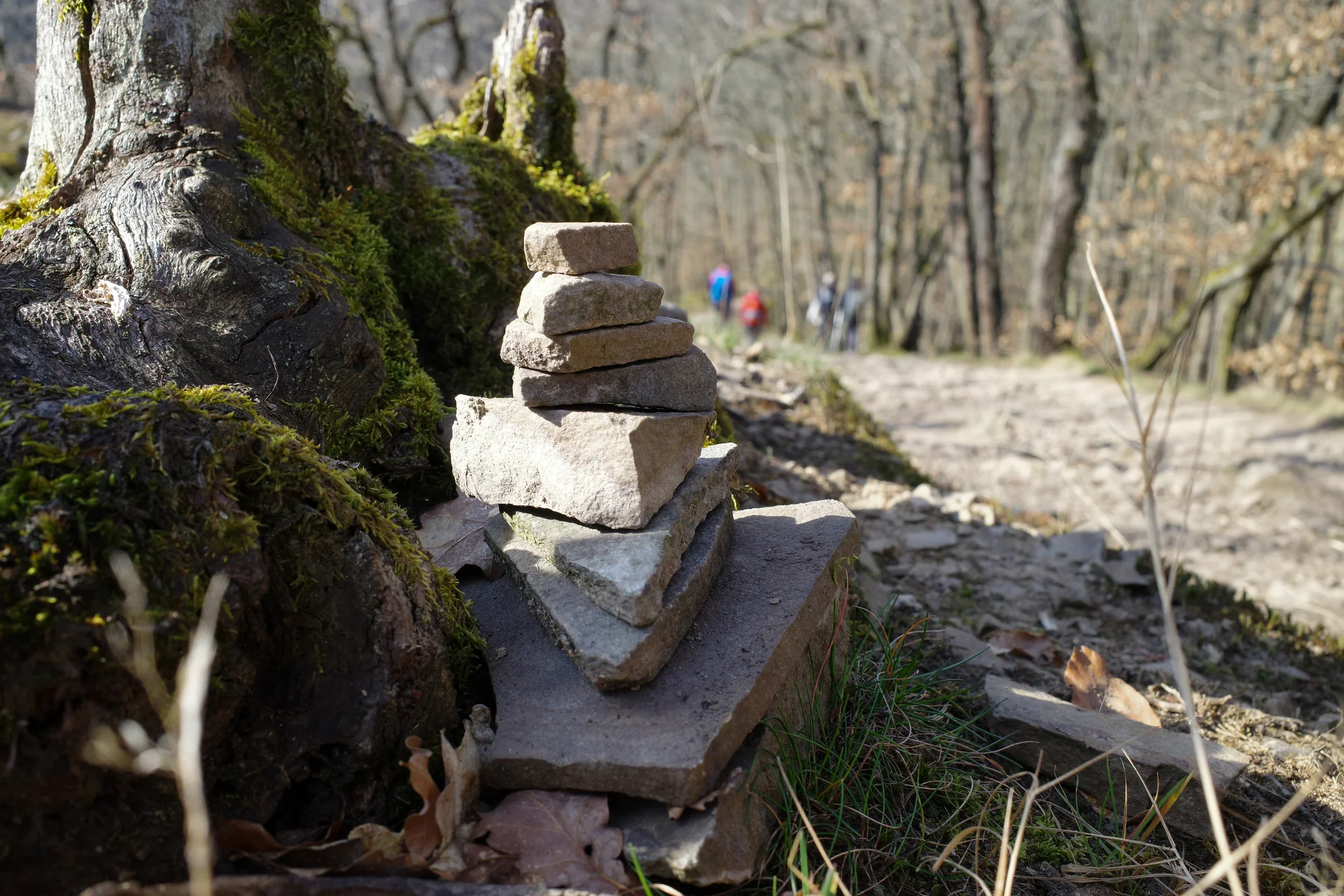 © Lena Kremzow-Tennie/DAV Wuppertal