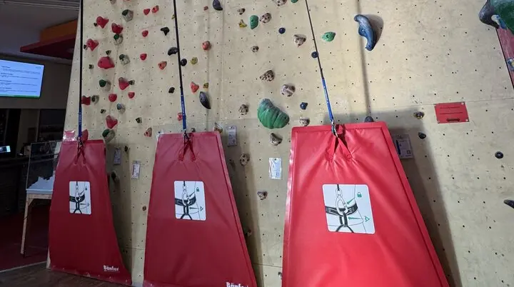 Bild von 3 Sicherungsautomaten | © Manuel Dahmen