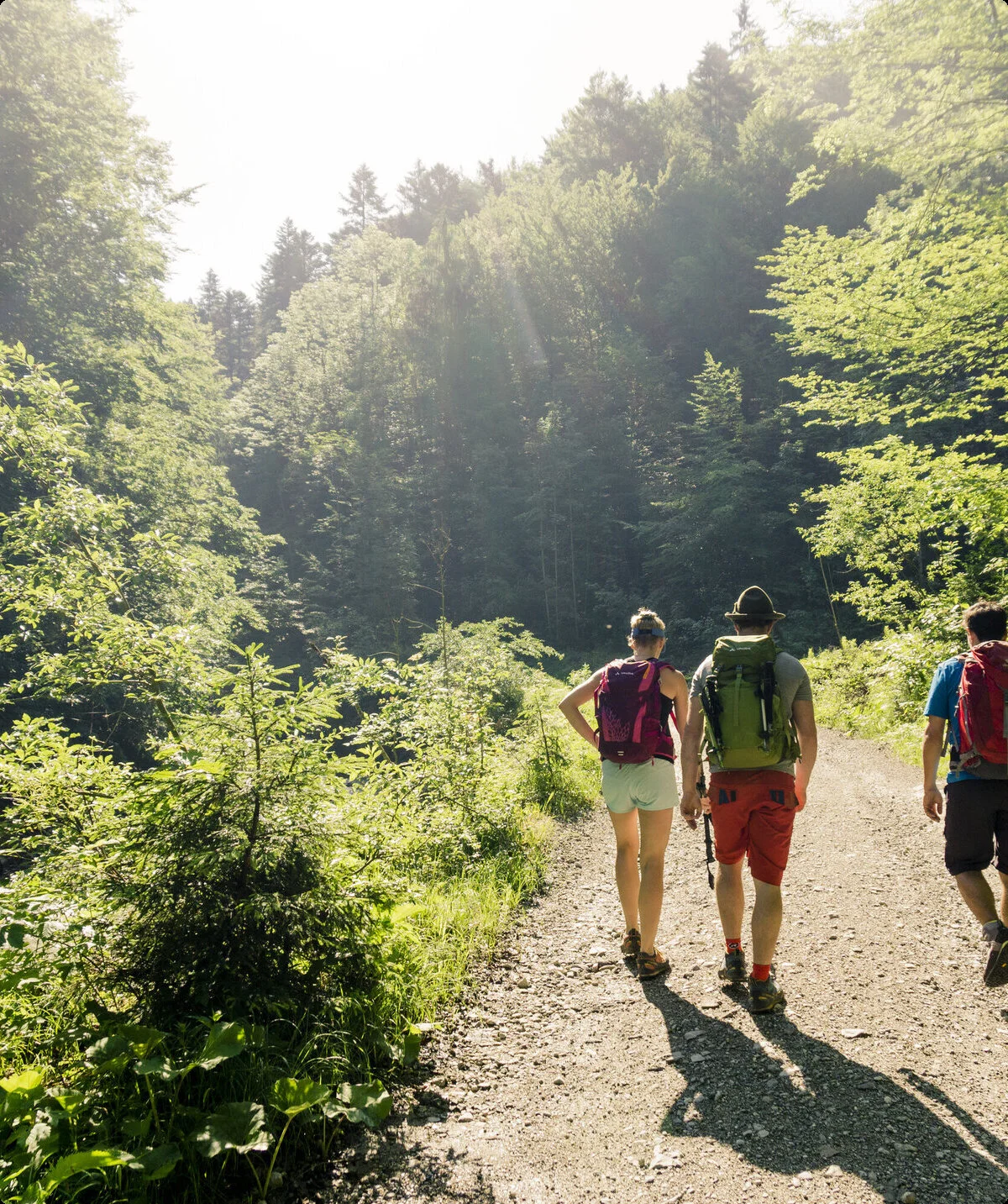 Drei Wanderer auf einem Bergpfad in den Chiemgauer Alpen | © DAV/Hans Herbig