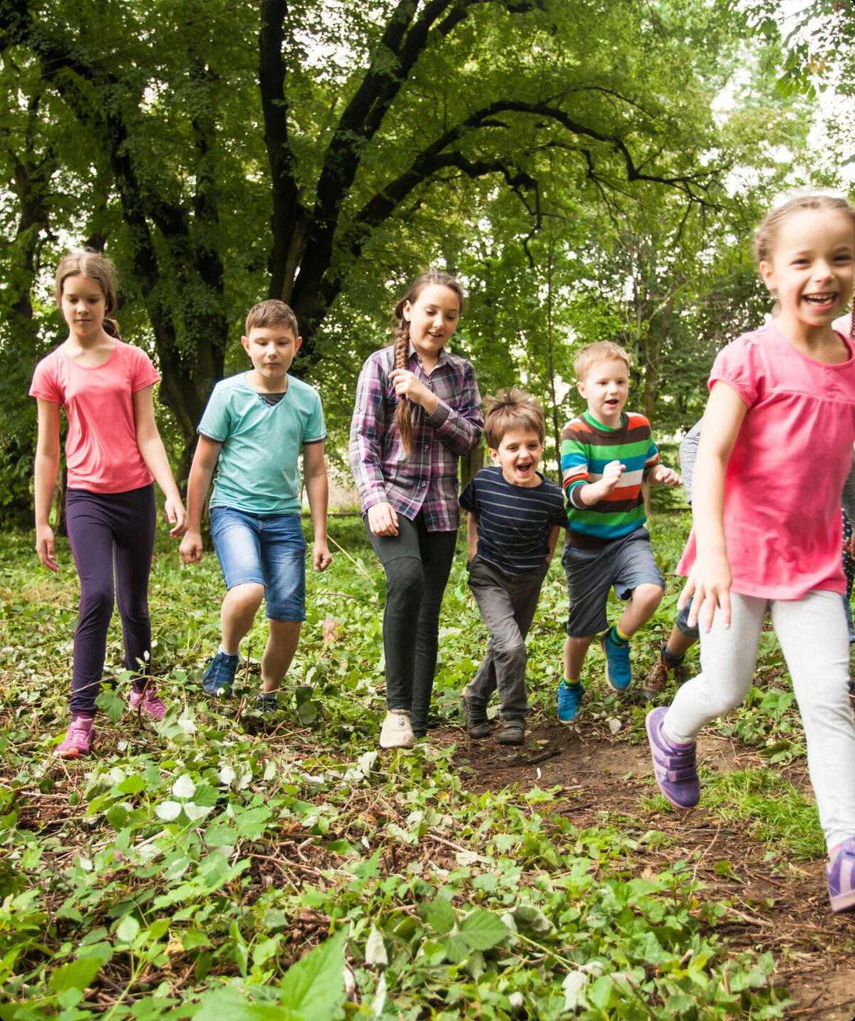 Viele Kinder wandern lachend durch ein Waldgebiet | © Oksix / Adobe Stock